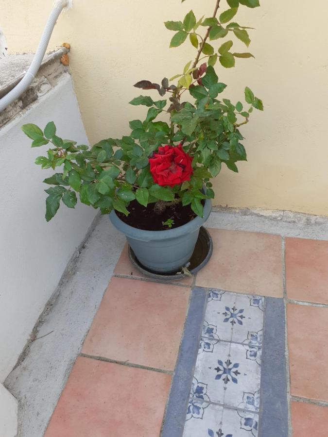 17 Flats And Roof Garden Apartment Athens Exterior photo