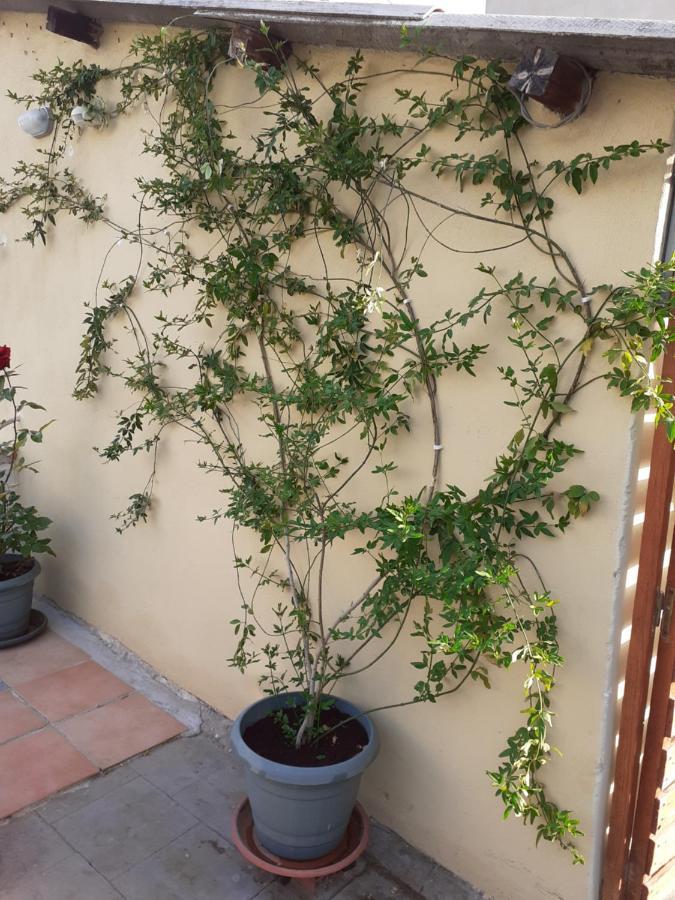 17 Flats And Roof Garden Apartment Athens Exterior photo
