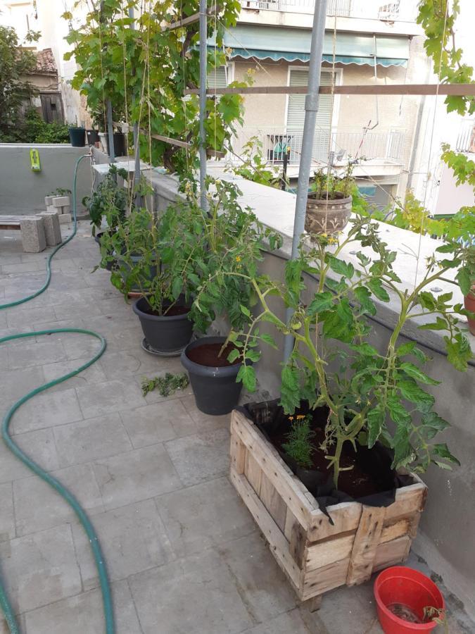 17 Flats And Roof Garden Apartment Athens Exterior photo